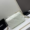 Upgraded Ohanel Fall/Winter 19 Bag Combining All Classic Pillow Bag Elements