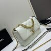 Upgraded Ohanel Fall/Winter 19 Bag Combining All Classic Pillow Bag Elements