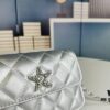 69304591f09edb6de4c4ddb3 New Arrival Wholesale Multi-Color Chanel Style Beautiful Item & Show Gift - Stylish Silver Chain Mini Bag, Waist Bag, Crossbody or Handheld, Very Matchable