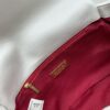 Upgraded Ohanel Fall/Winter 19 Bag Combining All Classic Pillow Bag Elements