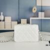 New Arrival Multi-Color Chanel-Inspired Silver Chain Mini Bag – Stylish and Versatile