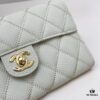 69304696f09edb6de4c4def9 Chanel Classic Quilted Leather Shoulder Crossbody Bag with Chain