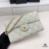 69304699f09edb6de4c4defc Chanel Classic Quilted Leather Shoulder Crossbody Bag with Chain