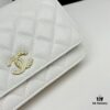 6930473bf09edb6de4c4df8c Chanel Classic WOC Bag in CF Series Caviar Leather and Smooth Lambskin - New Color, Perfect for Summer and All Seasons, 19cm
