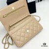 6930475af09edb6de4c4dfb9 Chanel Classic WOC Bag in CF Series Caviar Leather and Smooth Lamb Skin - New Color Launch