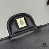 693047e4f09edb6de4c4e006 CHANEL 25P Panda Spring-Summer Collection Black and White Calfskin with Gold Hardware