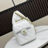 693048a0f09edb6de4c4e09a New Chanel 25 Handbag
