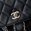 693048d6f09edb6de4c4e0e9 CHANEL 25S Spring/Summer Bestseller Series - Chanel Mesh Netting Bag