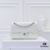 693048f7f09edb6de4c4e11d CHANEL Classic Crossbody Bag Summer Collection with Original Hardware