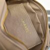 69304e7ff09edb6de4c4e8ea CHANEL 25C Pre-Spring Vacation Collection Mini Camera Bag in Gold Tone
