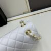 69304ed2f09edb6de4c4e961 Chanel Classic CF1112 Lambskin Electroplated Hardware with Glazed Finish, Premium Cowhide Gold Tone Clasp
