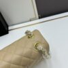 69304eecf09edb6de4c4e986 Chanel Classic CF1112 Lambskin Electroplated Hardware with Glazed Finish, Premium Cowhide Gold Tone Clasp