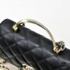69304fc0f09edb6de4c4ea83 CHANEL 2024 Fall/Winter New Arrival Genuine Lambskin WOC with Metal Rhinestone Handle, Stylish and Elegant, Can Be Carried by Hand or Crossbody