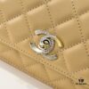 69304fc7f09edb6de4c4ea8c CHANEL 2024 Fall/Winter New Arrival Genuine Lambskin WOC with Metal Rhinestone Handle, Stylish and Elegant, Can Be Carried by Hand or Crossbody