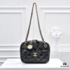 693050b1f09edb6de4c4ebd4 CHANEL 24K Autumn/Winter New Series Camera Bag, Full-Grain Leather, Eye-Catching Double C Logo, Classic and Unique Design