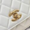 CHANEL Wallet on Chain Mini Bag A, Size: 19.2x12.3x3.5