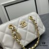 693052a3f09edb6de4c4ee6c Chanel 270 Batch 23K Gold Coin Chain Bag