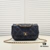 Chanel 2024 Spring-Summer Early Collection Runway Latest Model Classic Quilted Flap Bag with Bold Gold Chain Accent