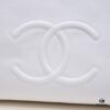 693055d3f09edb6de4c4f302 Chanel A2021 New Arrival Tote Bag from the Haute Couture Collection