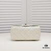 Small Size 🦋 Chanel 🖤 23A Diamond Handle CF Mini, Early Release 💎