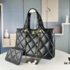 693057c5f09edb6de4c4f5f5 New Arrival Wholesale Cute and Practical Chanel 22S Tote Bag