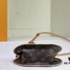 Around Me Handbag in Monogram Coated Canvas