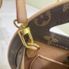 Around Me Handbag in Monogram Coated Canvas