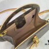 Around Me Handbag in Monogram Coated Canvas