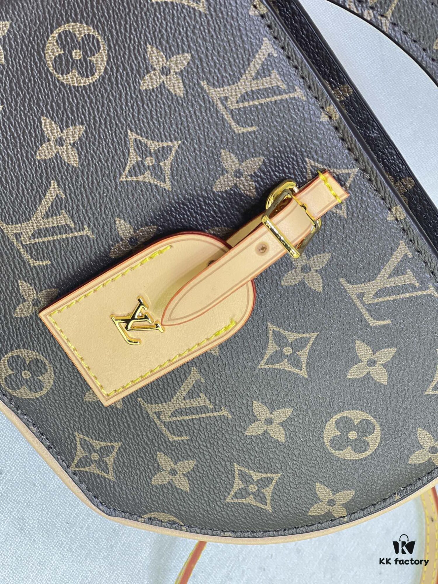Around Me Handbag in Monogram Coated Canvas