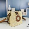 69305e3df09edb6de4c5011e New Small LV NOE PURSE Bucket Bag in Raffia Leather
