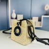 69305e41f09edb6de4c50126 New Small LV NOE PURSE Bucket Handbag in Raffia Leather Mini 'Little Dumpling'