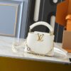 Upgraded Original Version M12935 M12936 M12937 M12938 Capucines Mini Bag