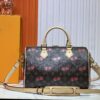 6930606bf09edb6de4c50575 M17089 M40391 Louis Vuitton Cherry Series Handbag from 2005 Designed by Takashi Murakami