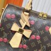 6930606bf09edb6de4c50576 M17089 M40391 Louis Vuitton Cherry Series Handbag from 2005 Designed by Takashi Murakami