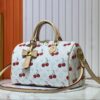 69306070f09edb6de4c5057e M17089 M40391 Louis Vuitton Cherry Series Handbag from 2005 Designed by Takashi Murakami
