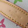693060d2f09edb6de4c50629 Upgraded Original M13747 M44495 M44936 M42263 LV Takashi Murakami Nice Mini Nano Pouch with Monogram Print in 33 Vibrant Colors, 2025 LV x Takashi Murakami Collaboration White Tricolor and Black Tricolor Twelve-Section Series, Popular Worldwide Among Celebrities