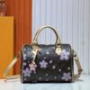 69306192f09edb6de4c507c0 Upgraded Original M13805 M13257 M40390 LV x Murakami Collaboration Cherry Blossom 🌸 Nano Speedy Bag