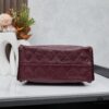 New Chanel 25 Handbag