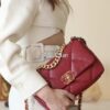 693064156e68136f4d9a4407 New Arrival with Box CHANEL Chanel Platinum White 19 Bag