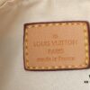 693064ea6e68136f4d9a4544 Upgraded Original M11920 LV Ski Collection Hills Pochette Clutch with Shimmering Metallic Accents