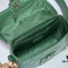 693065c66e68136f4d9a46f9 Soul Trunk Bag in Black Floral, Black, Damier, and Green