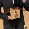 693066676e68136f4d9a4844 New Small LV NOE PURSE Bucket Bag in Raffia Leather