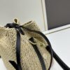 6930666c6e68136f4d9a484c New Small LV NOE PURSE Bucket Bag in Raffia Leather