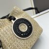 6930666d6e68136f4d9a484d New Small LV NOE PURSE Bucket Bag in Raffia Leather