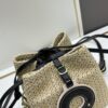 6930666d6e68136f4d9a484e New Small LV NOE PURSE Bucket Bag in Raffia Leather