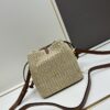 693066726e68136f4d9a4858 New Small LV NOE PURSE Bucket Bag in Raffia Leather