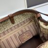 693066746e68136f4d9a485d New Small LV NOE PURSE Bucket Bag in Raffia Leather