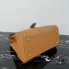 Delvaux 2024 Spring-Summer Exotic Stitching Collection Brillant PM Bag