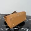693068356e68136f4d9a4b4b Delvaux 2024 Spring-Summer Exterieur Stitching Collection Brillant PM in Calfskin