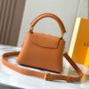 69306d276e68136f4d9a5439 Guangzhou Stock Premium Original M14970 Brown Capucines Mini Bag